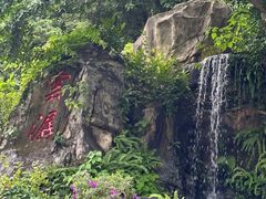-广州市白云山风景名胜区