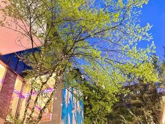 -西北湖绿化广场