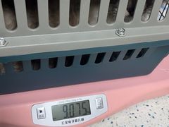 -半岛宠物医院24小时(科华中路店)