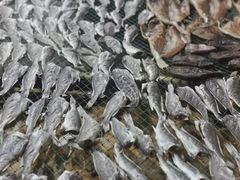 -天天渔港海鲜酒家(石浦玉泉路店)