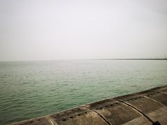 -东疆建设开发纪念公园