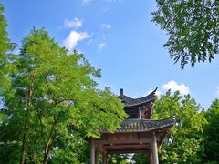 -梁鸿国家湿地公园