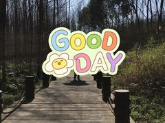 -桤木河湿地公园