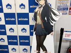 -Animate(秋叶原本馆)