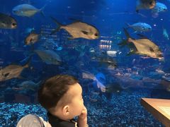 -海棠湾洲际-涛·海底餐厅·美人鱼·自助餐·海底隧道