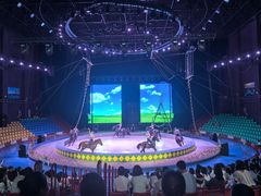 -蓬莱欧乐堡梦幻世界