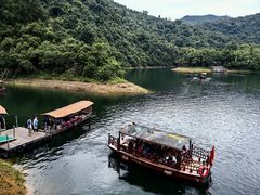 -鼎湖山风景区