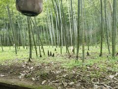 -古隆中景区
