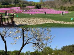 -棒棰岛宾馆景区