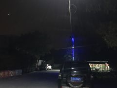 -大岗仙庙烧鸡(花东店)
