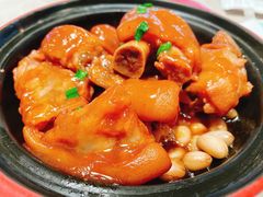 鲍汁猪手煲-大树餐厅(红旗街万达店)