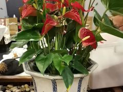 -峨嵋酒家(牡丹园店)