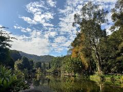 -深圳仙湖植物园