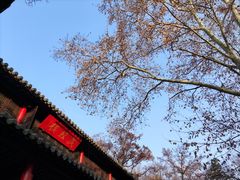 -灵谷景区