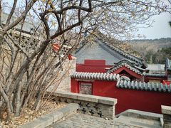 -泰山风景名胜区-普照寺