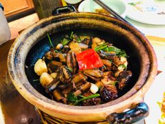 -大榕树下顺德菜(融创茂店)
