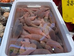 -悦海·家宴·冰花皮皮虾大锅贴(宝龙店)