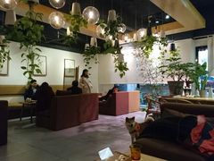 -柴务处·柴犬主题狗咖