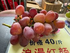 -马陆小张葡萄园农家乐