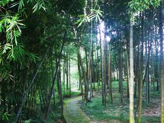 -广州市石门国家森林公园