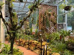 -国家植物园南园