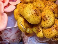 -烹然四季椰子鸡火锅(姚家园万象汇店)