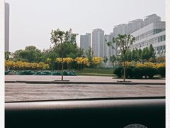 -天津市人民医院-停车场