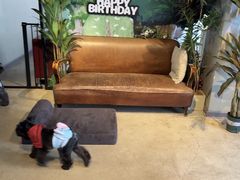 -百好乐宠物友好餐厅(朝外大街店)