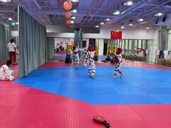 -陈中跆拳道(中关村馆)