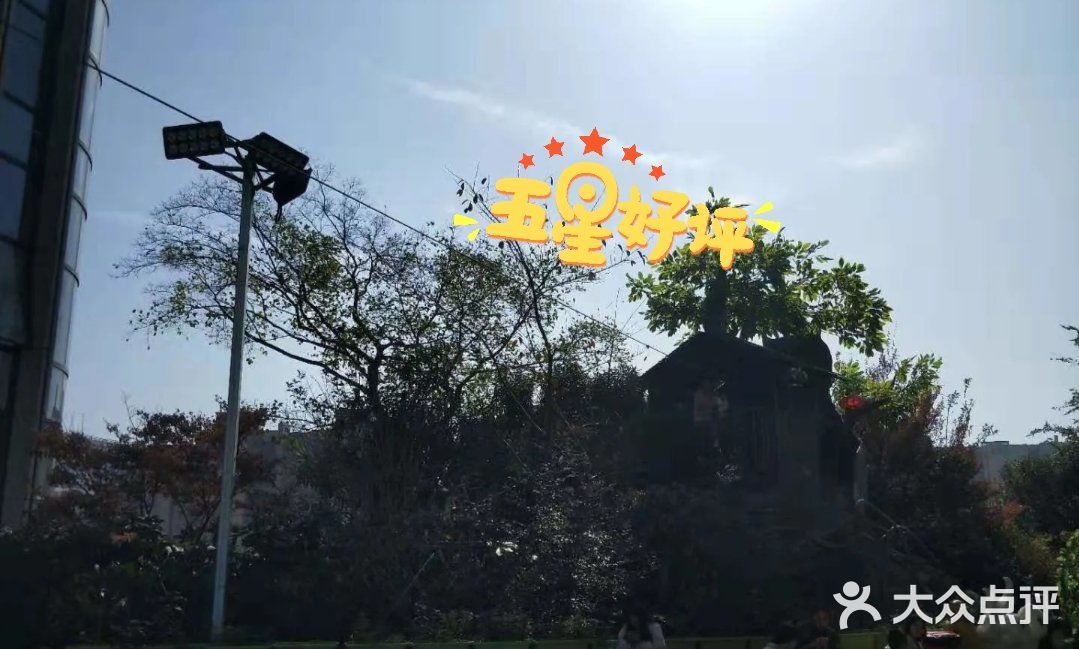 滑索道你们敢来挑战吗？