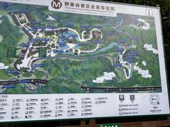 -野象谷景区