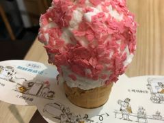 -野人先生现做冰淇淋(北京顺义祥云小镇店)