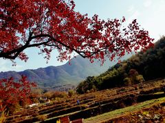 -塔川景区