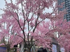 -首开·龙湖成都西宸天街