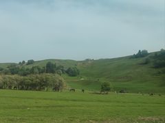 -新疆那拉提国家旅游度假区