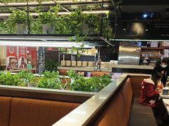 -猫爪爪原切自助烤肉(观音桥阳光世纪店)