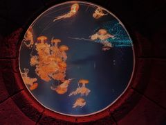 -波塞冬海底世界