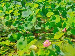 -停车场(海乐路)