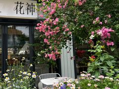 -花神·轻食简餐·咖啡馆·花卉绿植(荷兰花卉小镇店)