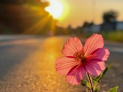 -冶春茶社(星汉大厦店)