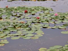 -白鹭湾湿地公园