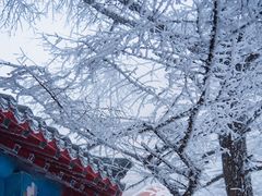 -崂山巨峰游览区