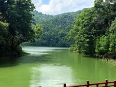 -广州市石门国家森林公园