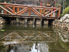 -观唐（国际）度假村温泉