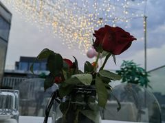 -烛影拾光观景餐厅·创意菜·摄影·小提琴(大唐不夜城店)