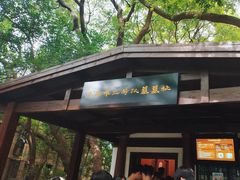 -马王堆汉墓遗址