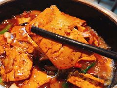 石锅老豆腐-有红鸡毛店·川菜(建设路店)