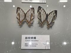 -四川大学博物馆