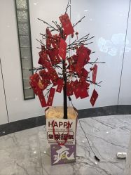 -安心妈妈月子中心(高新店)