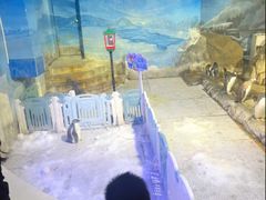 -成都浩海立方海洋公园